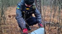 На Київщині у лісі знайшли бойову частину безпілотника “Герань”-2