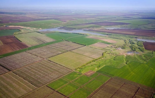 Бджети отримали 25,5 млрд грн земельного податку