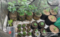 Поліцейські Києва викрили двох наркоаграріїв з Оболоні