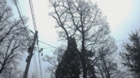 Діятимуть графіки: у ДТЕК розповіли, коли у киян та жителів області не буде світла