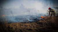 За добу ДСНС Київщини гасили 20 пожеж на 18 га: людей просять не палити траву