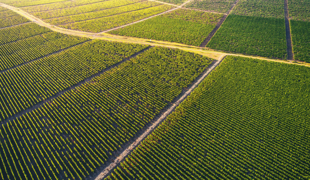Кадастровий номер земельної ділянки: що це таке і чому він важливий 
