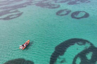 На морському дні біля берегів Шотландії є дивні кільця: вчені не знають, як вони з’явилися