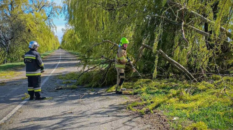 На Київщині через негоду без світла 20 тисяч родин — ДТЕК