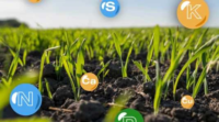 Чому вибір Agrimatco – це інвестиція в майбутнє агробізнесу