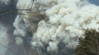 Орієнтовна площа понад 1100 га: у Зоні відчуження гасять пожежу