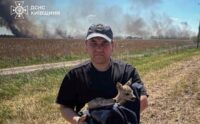 На Київщині з вогню врятували двох оленят. ФОТО