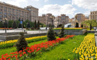 Київзеленбуд відзначає 70 років від заснування: цікаві факти