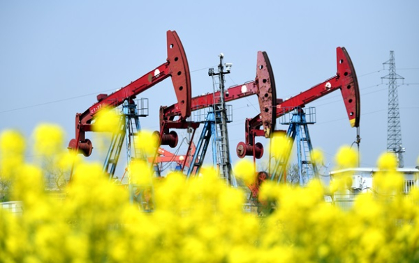 Brent і WTI подешевшали: що вплинуло на ціни на нафту Brent і WTI подешевшали: що вплинуло на ціни на нафту