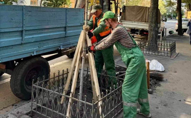 У Києві замість видалених дерев висадили нові