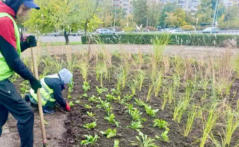 У парку імені Романа Шухевича облаштували нову ландшафтну локацію